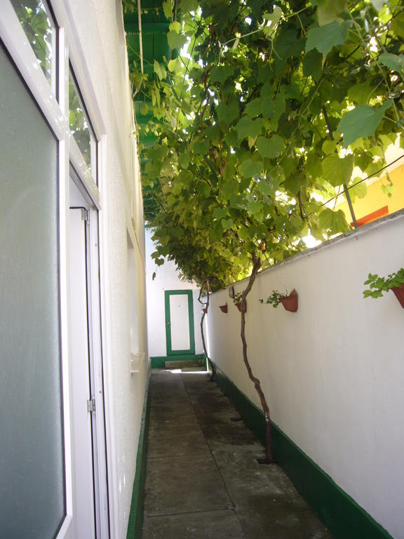 Appartement Pinciuc *